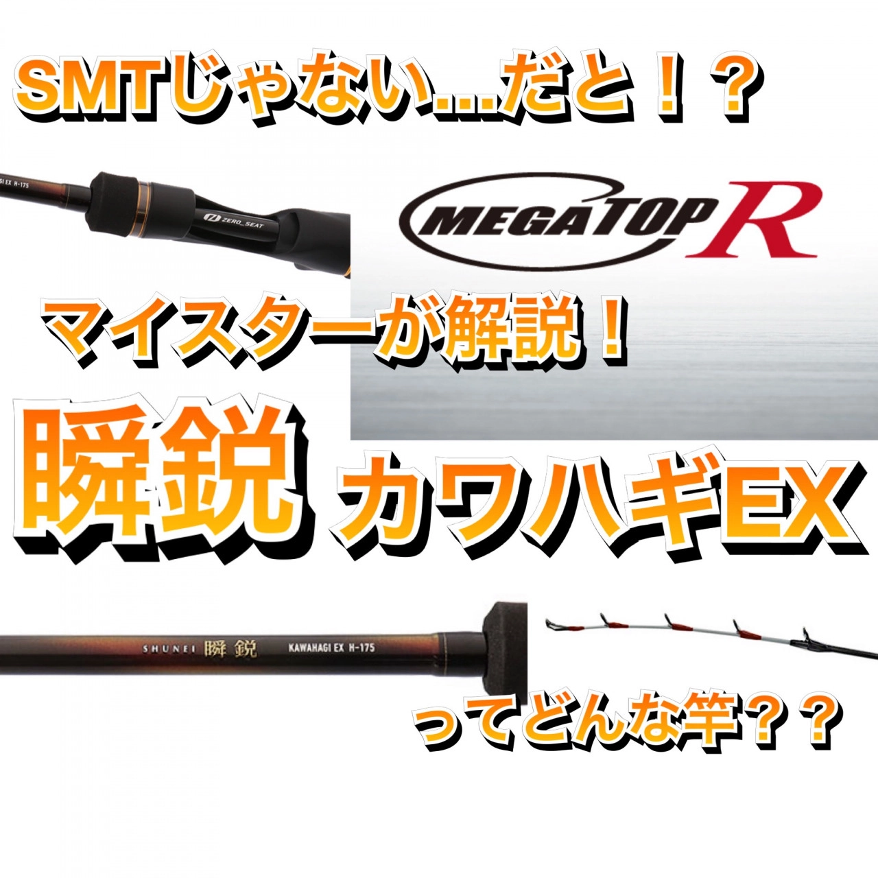 S20 ダイワ 極鋭 カワハギ EX AGS LC LIGHT CONCEPT 61217（船竿